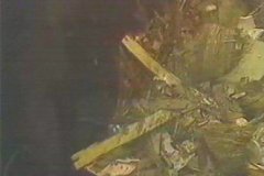 BASURA (14)  IMAGEN FOTOGRAFIA  70 